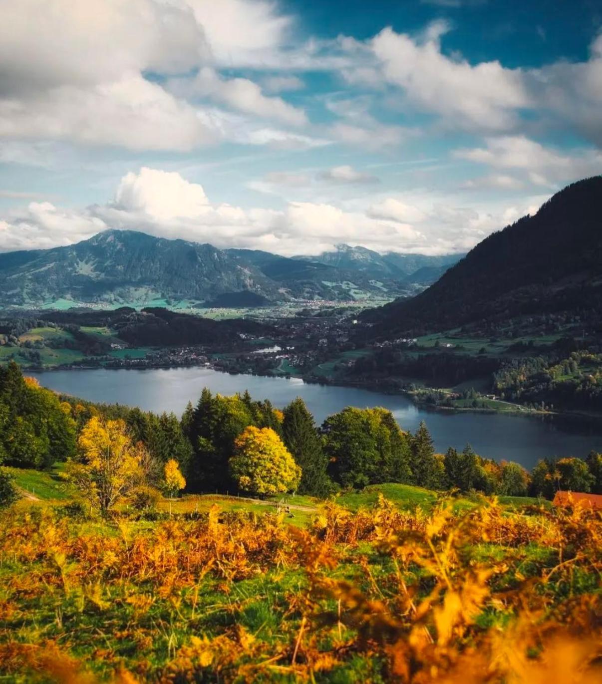 Ferienwohnung Immenstadt Im Allgaeu- Ruhig, Gemuetlich & 5Min Zum Alpsee Εξωτερικό φωτογραφία