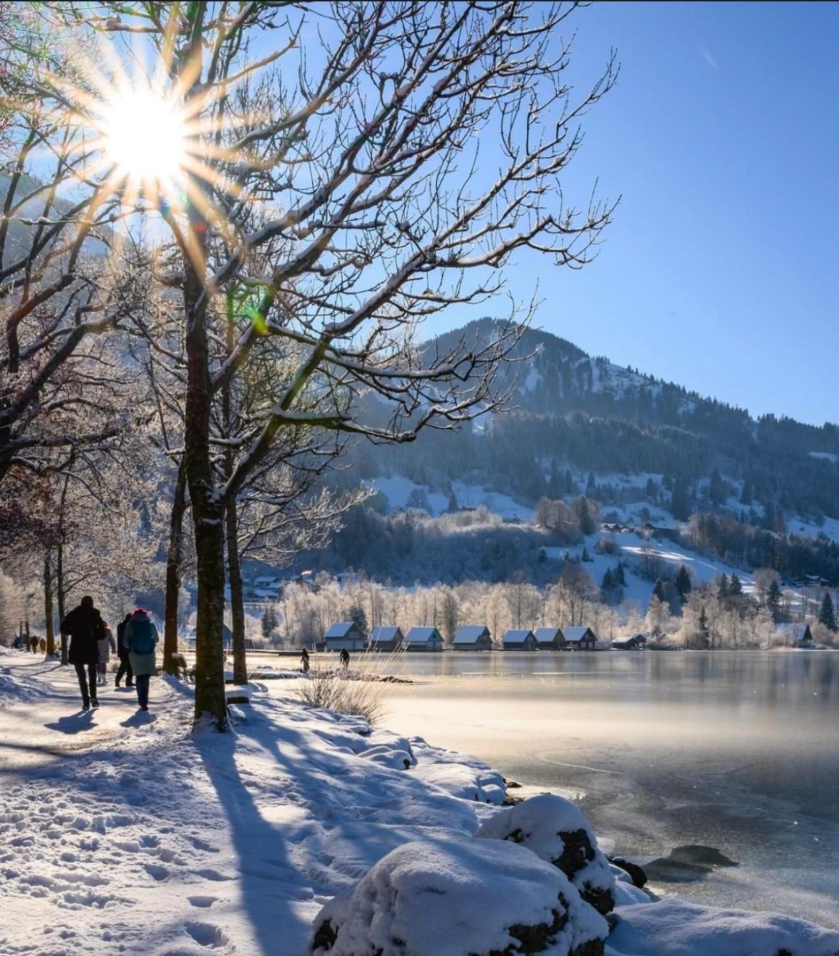 Ferienwohnung Immenstadt Im Allgaeu- Ruhig, Gemuetlich & 5Min Zum Alpsee Εξωτερικό φωτογραφία